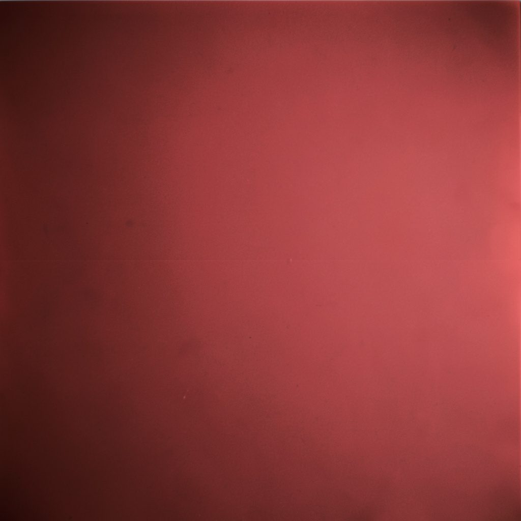 Duotone natural scene in rose and charcoal.